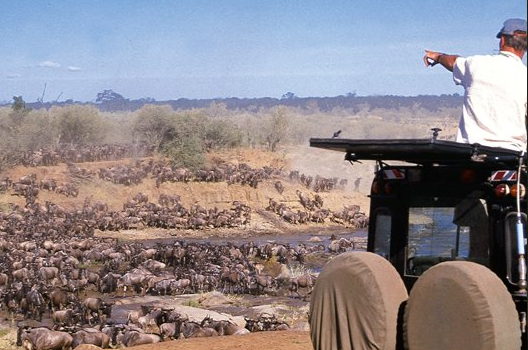 Migration Camp - Serengeti